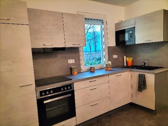 Pension Rosenvilla Sedlitz المظهر الخارجي الصورة